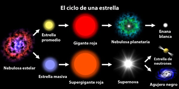 El ciclo de una estrella.
