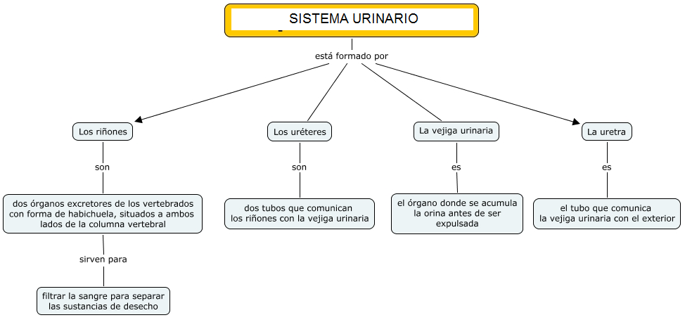 sistema urinario mapa conceptual completo