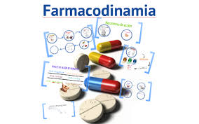 farmacodinamia mapa conceptual fármacos