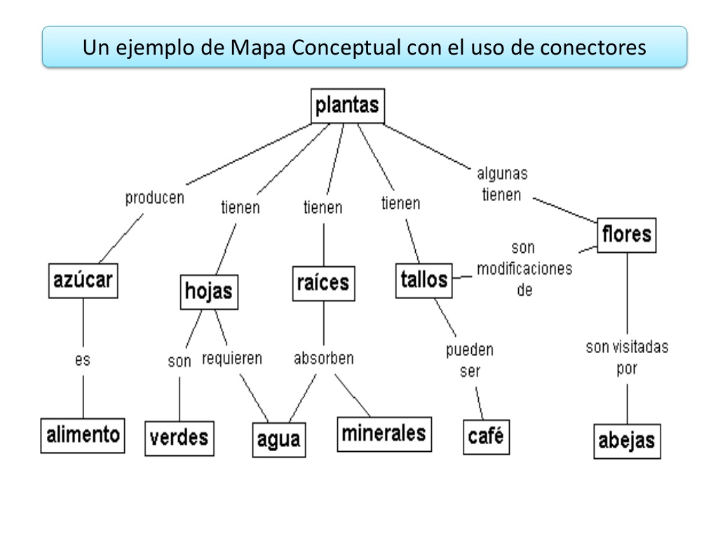 mapa conceptual plantas conectores