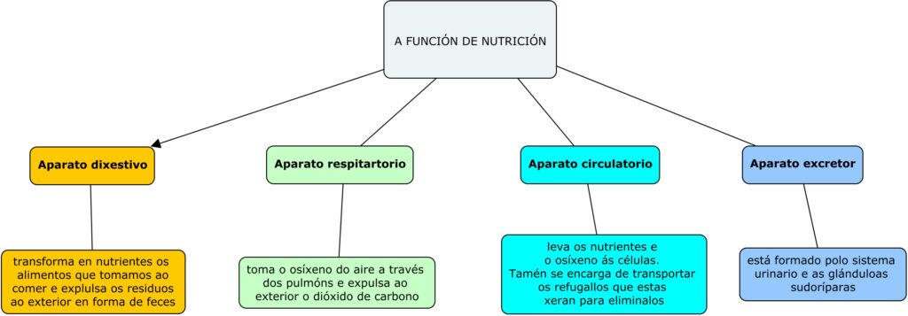 Mapa conceptual de nutrición verde