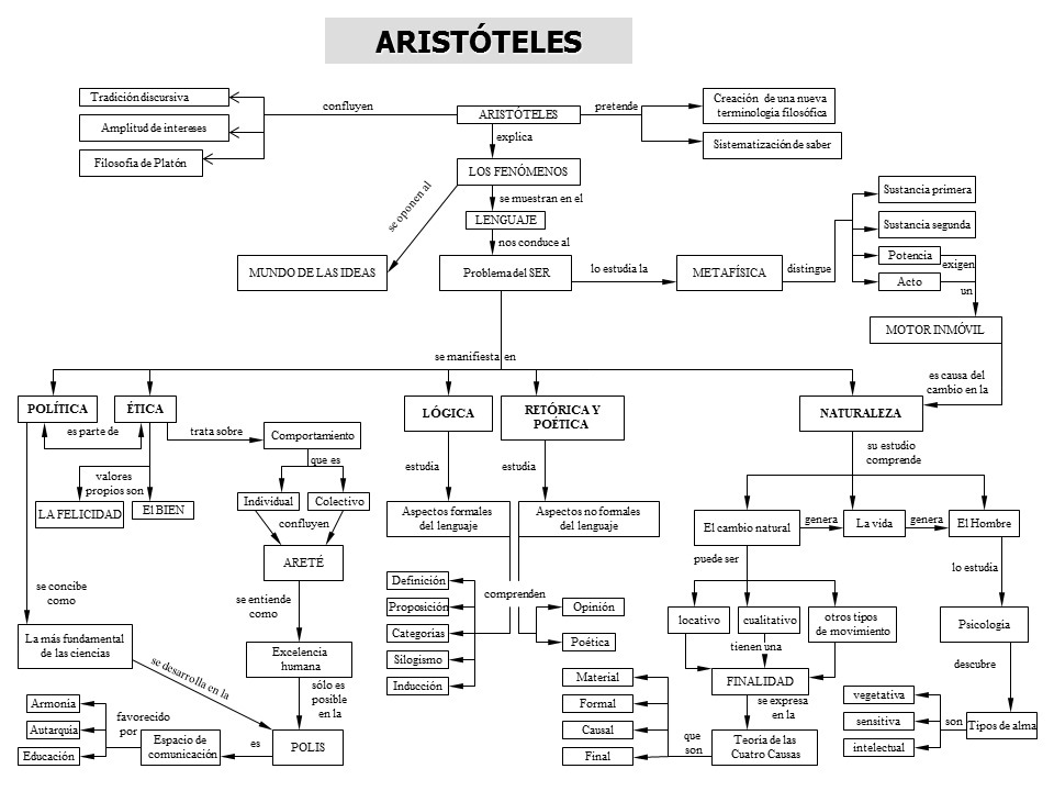 mapa conceptual de aristóteles extenso