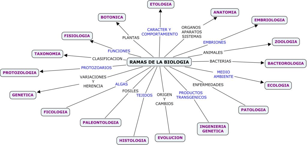 mapa conceptual de biología ramas extenso