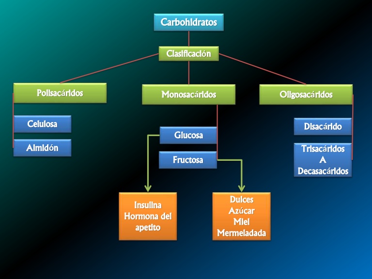 mapa conceptual de carbohidratos clasificación