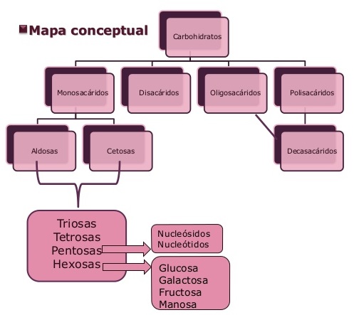 mapa conceptual de carbohidratos amplio