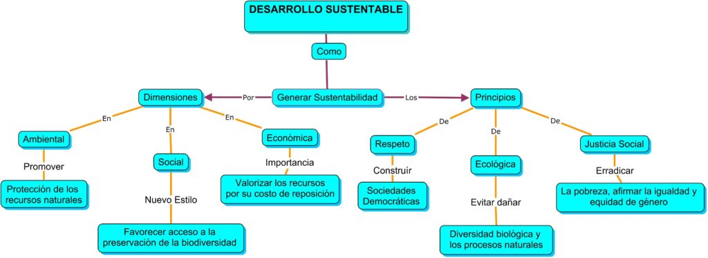 mapa conceptual del desarrollo sustentable dimensiones principios