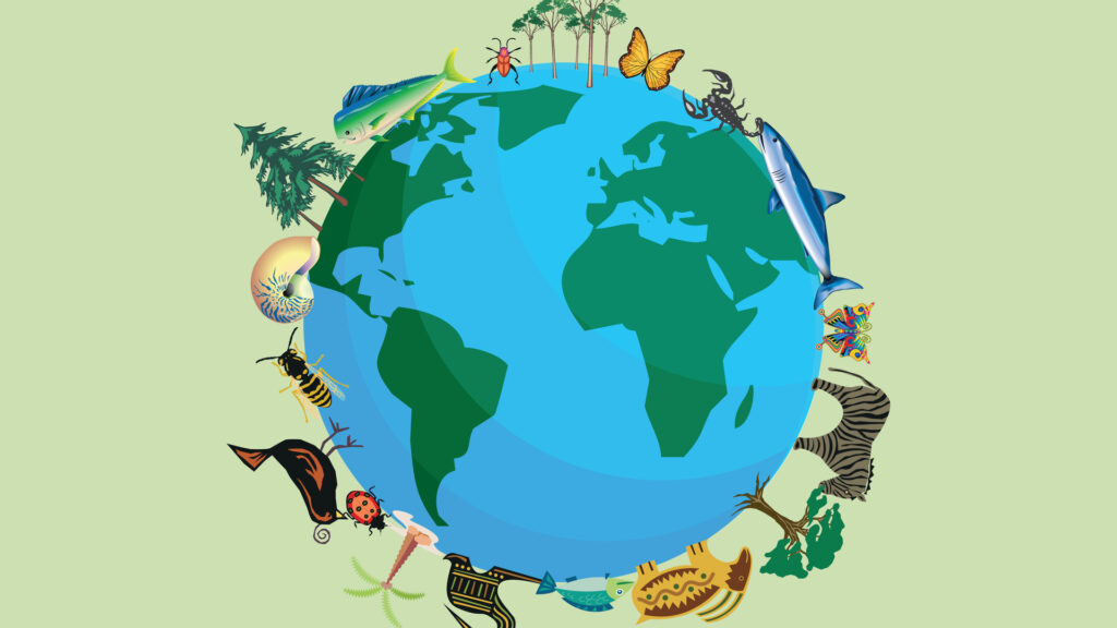 mapa conceptual de la biodiversidad en el mundo