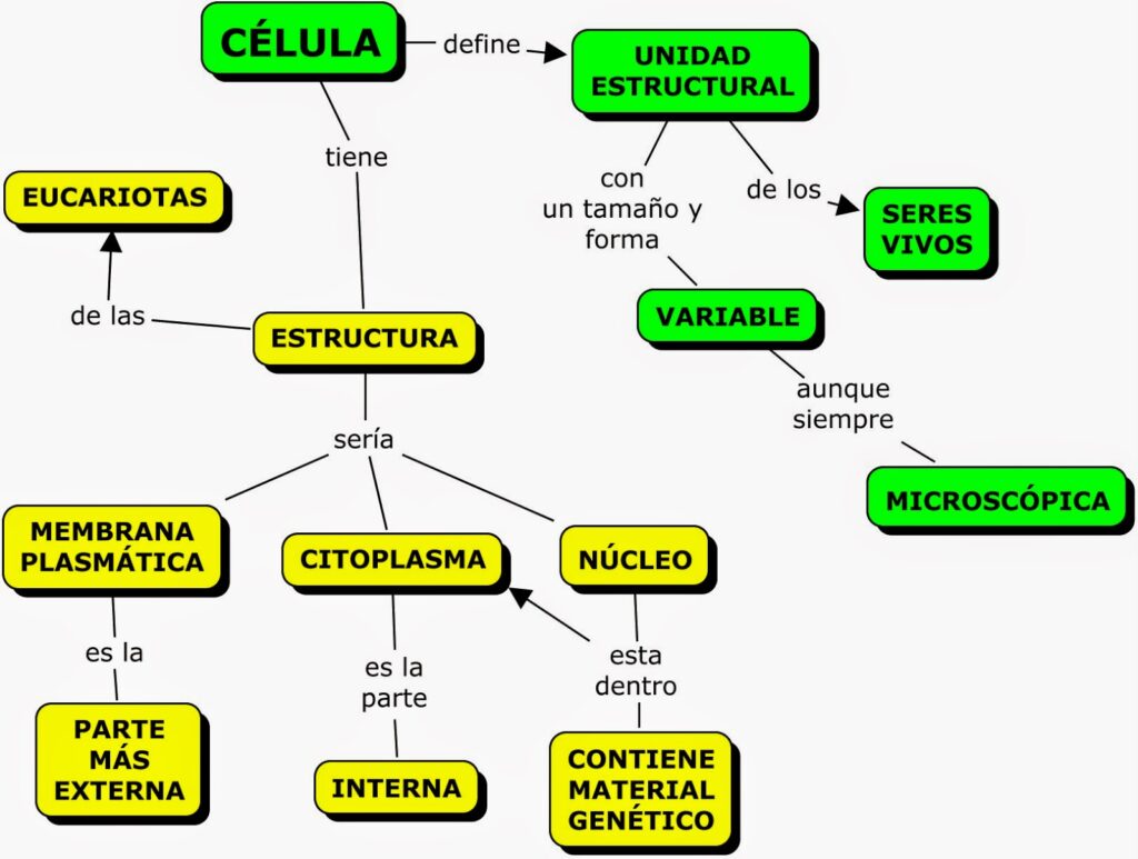 mapa conceptual de la célula definición