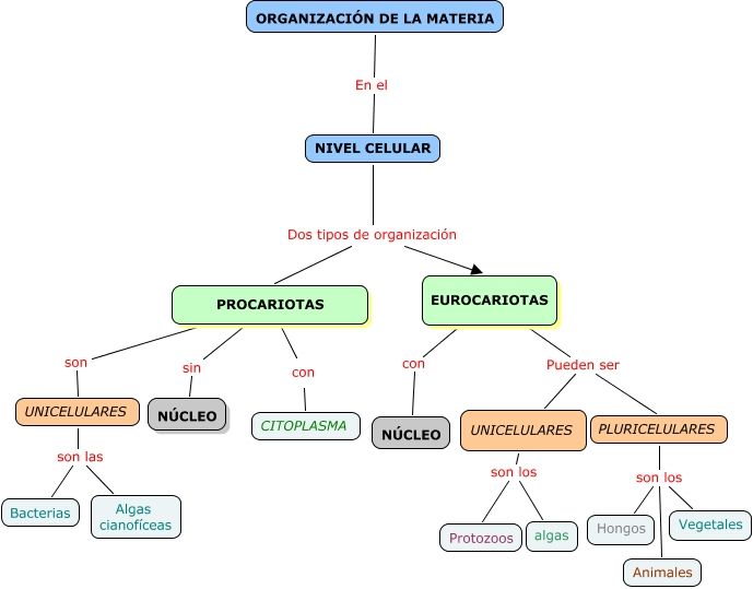 mapa conceptual de la materia organización