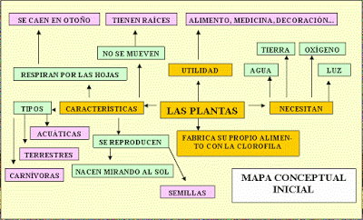 mapa conceptual de las plantas extenso