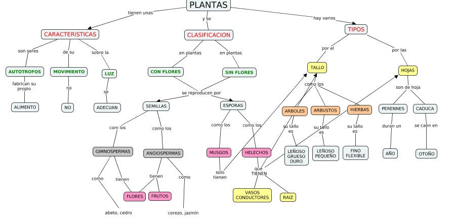 mapa conceptual de las plantas características tipos y clasificación
