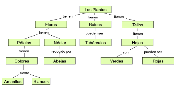 mapa conceptual de las plantas simple
