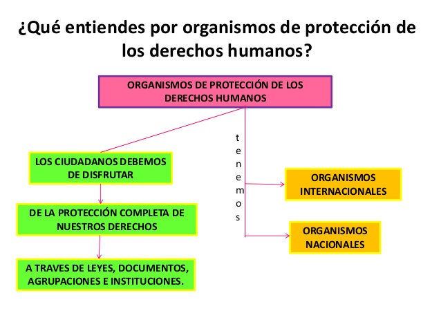 mapa conceptual de los derechos humanos organismos de protección