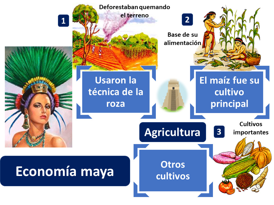 mapa conceptual de los mayas economía