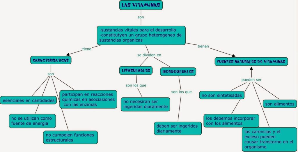 mapa conceptual de vitaminas extenso