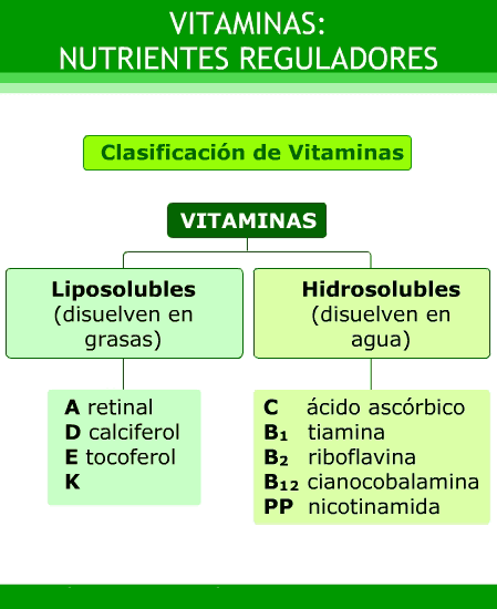 mapa conceptual de vitaminas sencillo