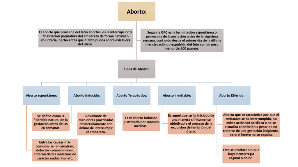 mapa conceptual del aborto y sus tipos
