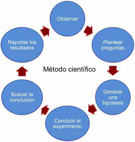 mapa conceptual del método científico pasos a seguir