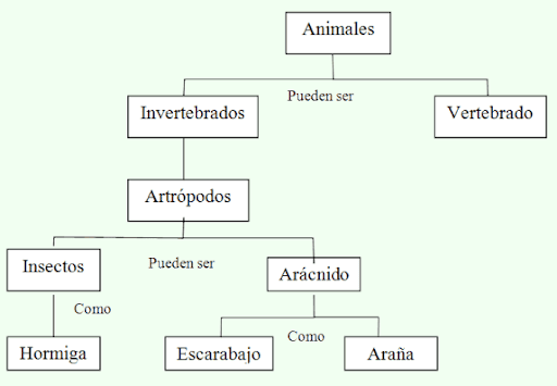 mapa conceptual jerárquico animales