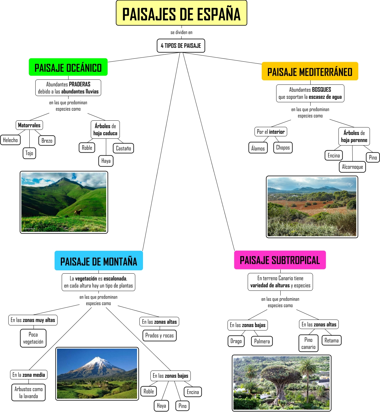 Mapa conceptual de paisaje ¡Guía paso a paso!