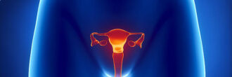 Mapa conceptual del aparato reproductor femenino