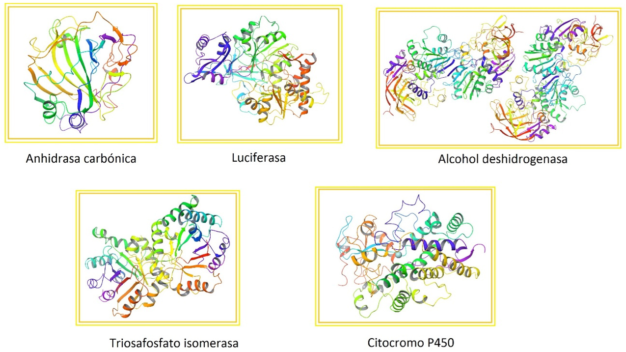 Enzimas mapa conceptual ¡Guía paso a paso!