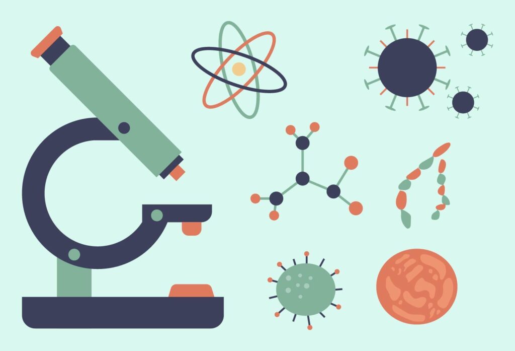 ▷ Mapa conceptual de biología ¡Guía paso a paso!