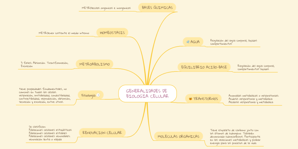 ▷ Mapa conceptual de biología ¡Guía paso a paso!