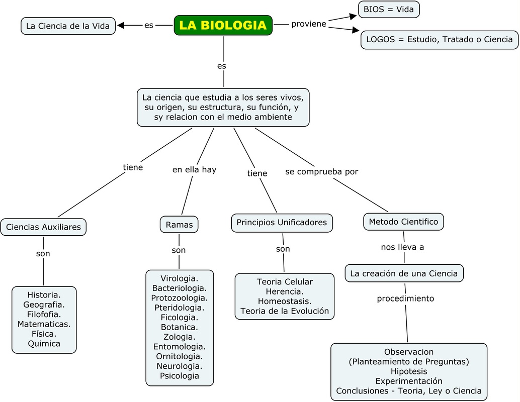 Mapa Conceptual Historia De La Biologia Ajore Images 