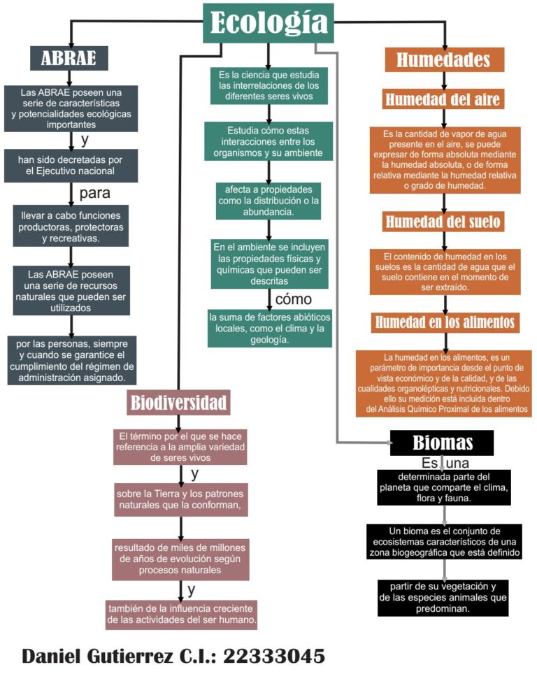 Mapa Conceptual De Ecología ¡guía Paso A Paso