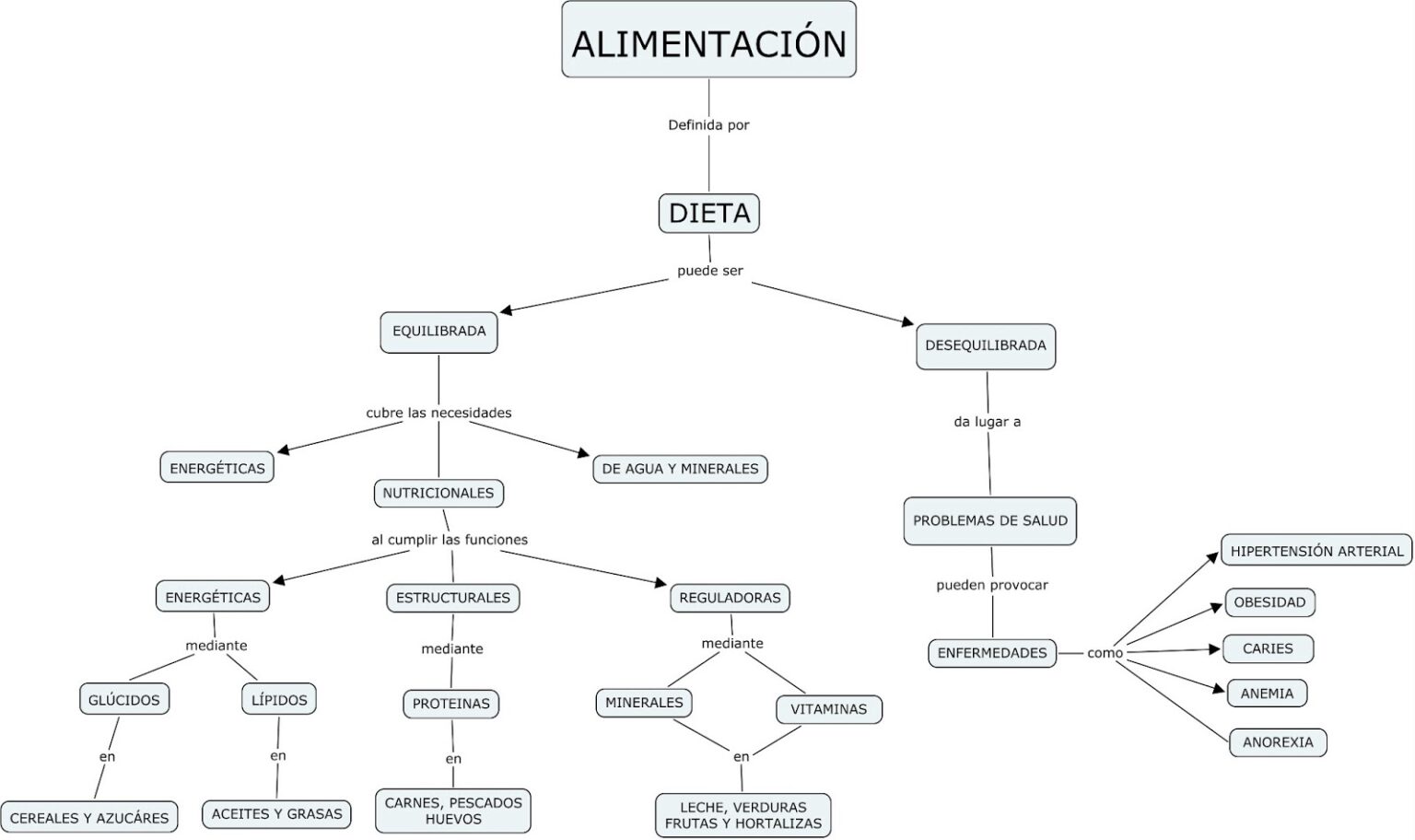 Mapa conceptual de la alimentación ¡Guía paso a paso!