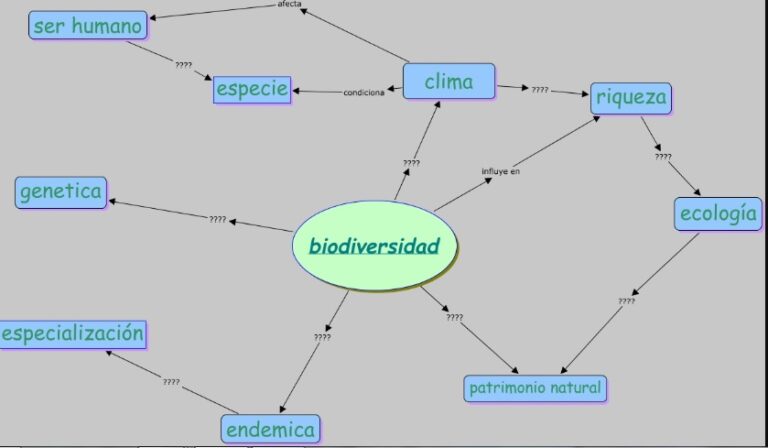Mapa Mental De La Biodiversidad