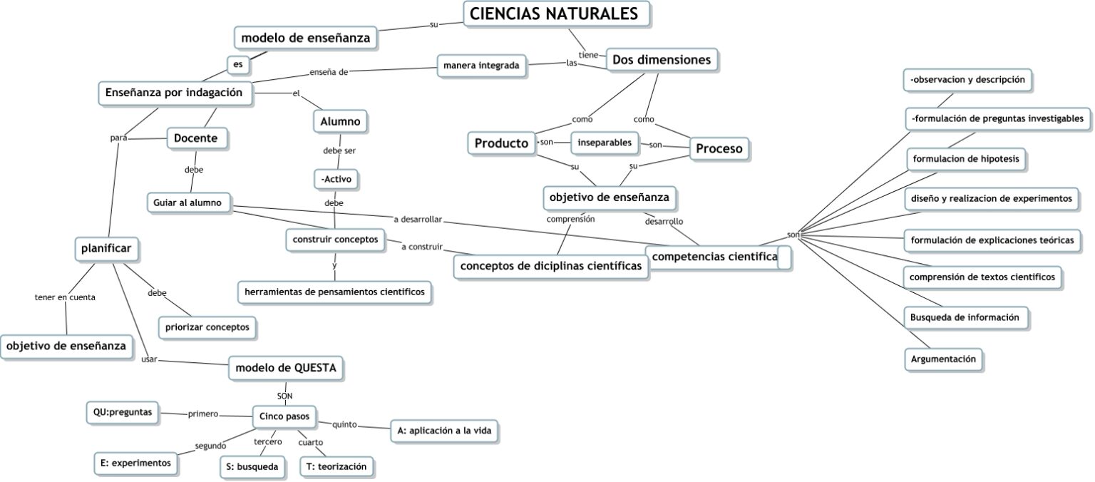 Mapa Conceptual De La Ciencia ¡guía Paso A Paso 8184