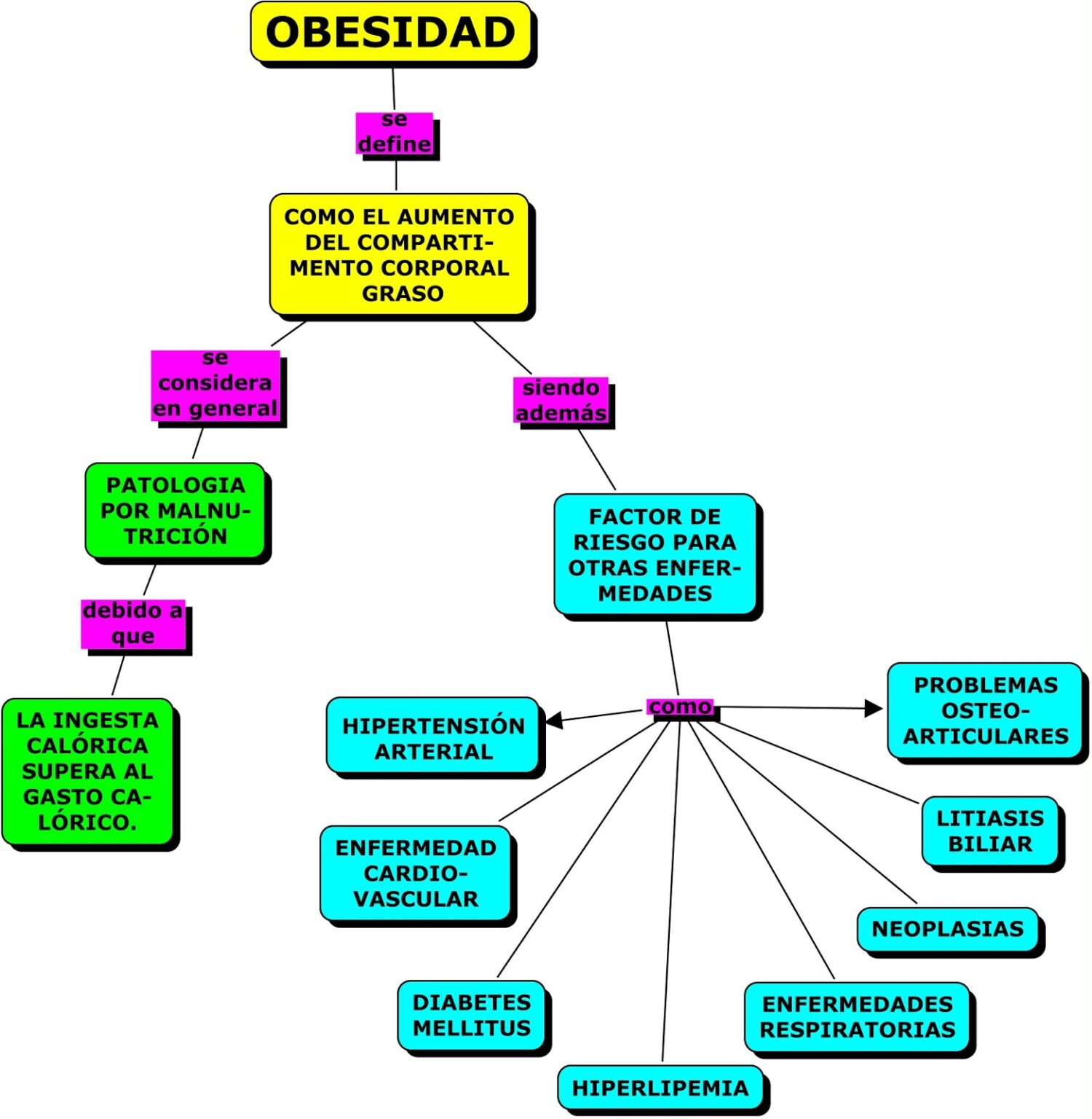 Mapa Conceptual De La Obesidad ¡guía Paso A Paso