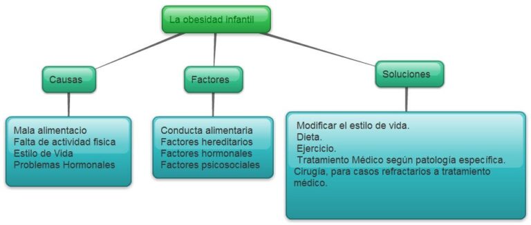 Mapa conceptual de la obesidad ¡Guía paso a paso!