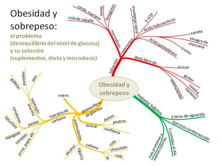 Mapa Conceptual Sobre El Sobrepeso Y Obesidad Brainlylat Images 6912