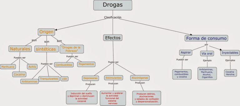 Mapa Conceptual De Las Drogas ¡guía Paso A Paso 0222