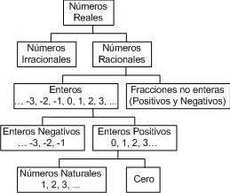 ▷ Mapa conceptual de los números reales ¡Guía paso a paso!