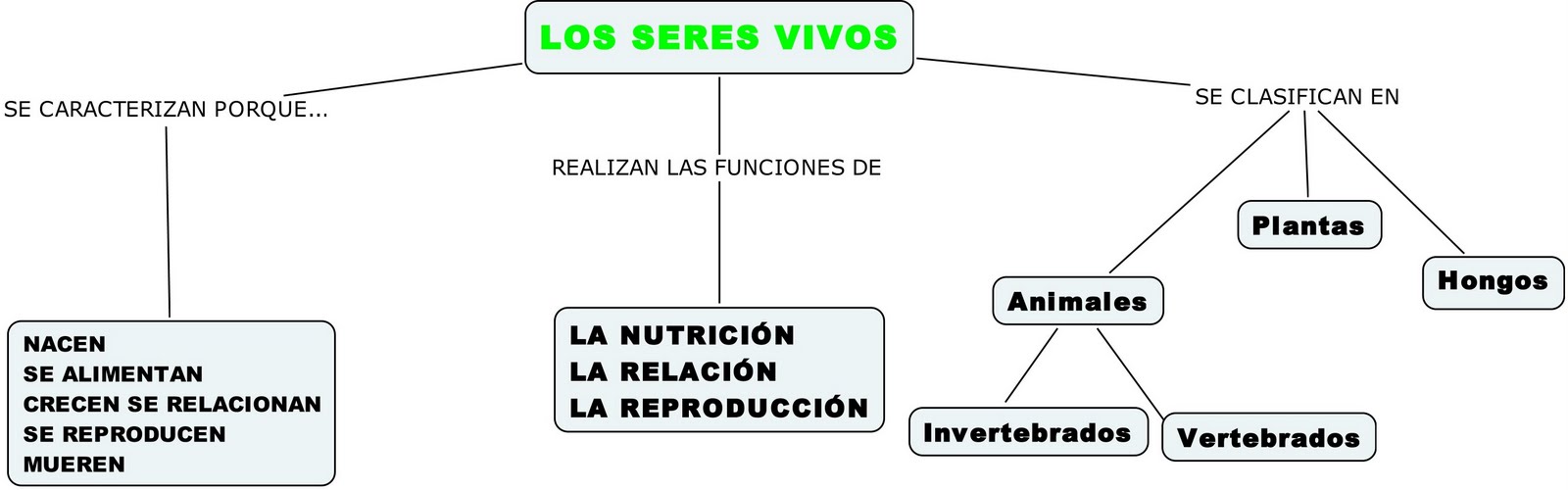 Mapa conceptual de los seres vivos ¡Guía paso a paso!