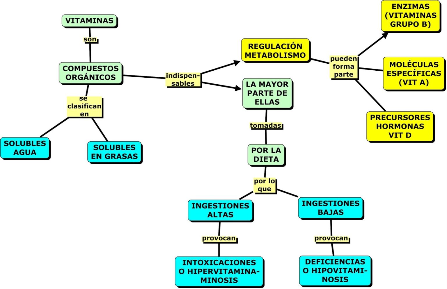 Mapa conceptual de vitaminas ¡Guía paso a paso!