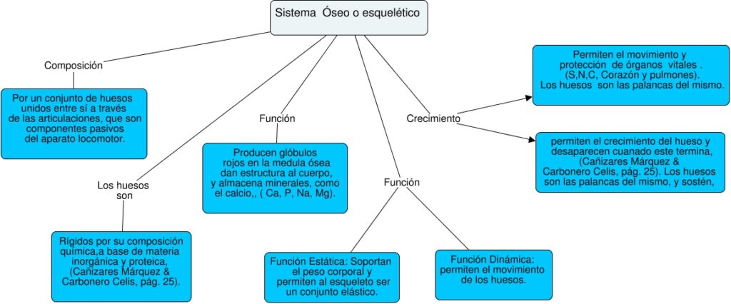 ▷ Mapa conceptual del sistema óseo ¡Guía paso a paso!