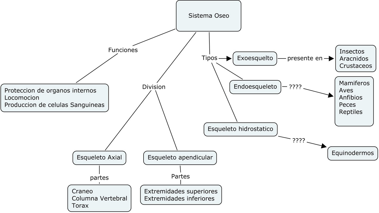 Mapa Conceptual Del Sistema óseo ¡guía Paso A Paso 