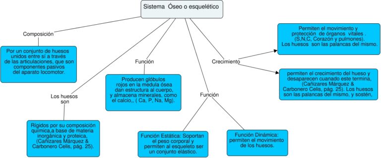 mapa conceptual del sistema óseo guía paso a paso